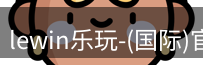 lewin乐玩